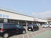 【ドラッグストア】カワチ薬品　岩切店まで1400ｍ