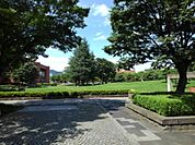 【公園】若里公園まで900ｍ