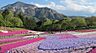 周辺：【公園】羊山公園まで1700ｍ