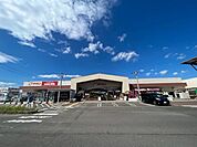 【ホームセンター】ダイシン亘理店まで600ｍ