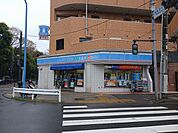 【コンビニエンスストア】ローソンまで768ｍ