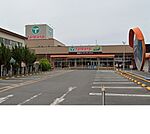 【スーパー】エコスTAIRAYA浦和栄和店まで700ｍ