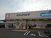 【ドラッグストア】ウエルシア長野若穂店まで1300ｍ