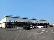 【ドラッグストア】カワチ薬品 八街店まで1300ｍ