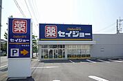 【ドラッグストア】デイリーケアセイジョー修善寺店まで850ｍ