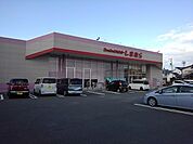 しまむら国分店まで490ｍ