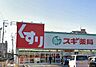 周辺：【ドラッグストア】スギドラッグ桜井店まで800ｍ