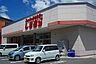 周辺：しまむら根城店まで500ｍ