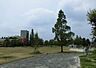 周辺：【公園】ミササガパークまで1100ｍ