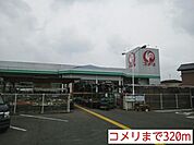 【ホームセンター】コメリまで320ｍ