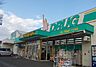 周辺：【ドラッグストア】ハシドラッグ八木田店まで800ｍ