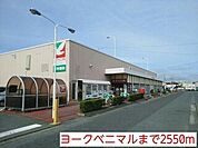 【スーパー】ヨークベニマルまで2550ｍ