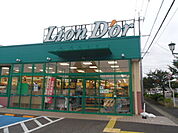 【スーパー】リオン・ドール南中央店まで800ｍ