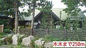 【その他】木木まで250ｍ