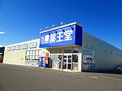 【ドラッグストア】薬王堂まで1510ｍ