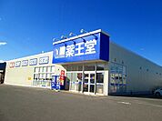 【ドラッグストア】薬王堂泉町店まで450ｍ