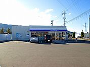 【コンビニエンスストア】ローソン泉町店まで500ｍ
