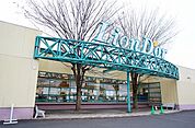 【スーパー】リオン・ドール須賀川南店まで800ｍ