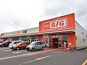 【スーパー】ザ・ビッグ本宮店まで550ｍ