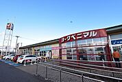 【スーパー】ヨークベニマル荒井店まで200ｍ