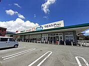 【ドラッグストア】ウエルシアプラス島町店まで350ｍ