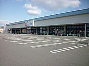 【ドラッグストア】カワチ薬品大槻店まで1200ｍ