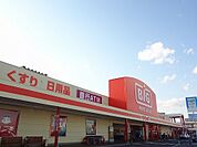 【スーパー】ザ・ビッグ郡山店まで300ｍ