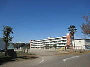 【小学校】新田小学校まで170ｍ