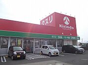 【ドラッグストア】キリン堂藍住徳命店様まで350ｍ