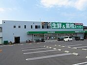【スーパー】業務スーパー松山和泉店様まで450ｍ
