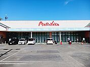 【スーパー】マルナカ高岡店様まで700ｍ