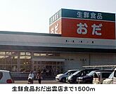 【スーパー】生鮮食品おだ出雲店まで1500ｍ