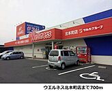 【ドラッグストア】ウエルネス北本町店まで700ｍ