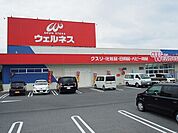 【ドラッグストア】ウェルネス安来店まで500ｍ