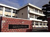 【小学校】福島市立矢野目小学校まで550ｍ