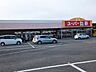 周辺：【スーパー】丸幸バイパス店まで700ｍ