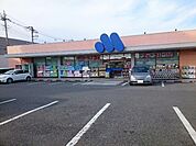 【ドラッグストア】マルエドラッグ吉井店まで1100ｍ
