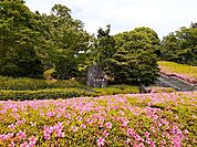 【公園】広見公園まで1300ｍ