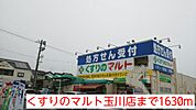 【ドラッグストア】くすりのマルト玉川店まで1630ｍ