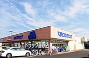 【ドラッグストア】マルエドラッグ藤原店まで290ｍ