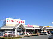 【スーパー】ヨークベニマル佐和店まで650ｍ