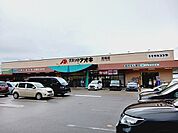 【ドラッグストア】クスリのアオキ百坂店まで1100ｍ