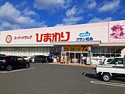 【ドラッグストア】ひまわりグラン松永店まで1400ｍ