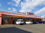 【ドラッグストア】ひまわり道上店まで800ｍ