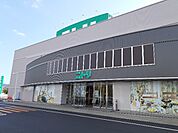 ニトリ福山西店まで1500ｍ