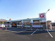 【ホームセンター】コメリまで1700ｍ