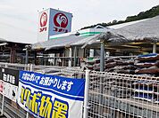 【ホームセンター】コメリ沼隈店まで120ｍ