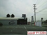 【その他】Gajaまで1320ｍ