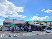 【スーパー】ハローズ尾道店まで1500ｍ