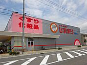 【ドラッグストア】スーパードラッグひまわり 本郷店まで1319ｍ